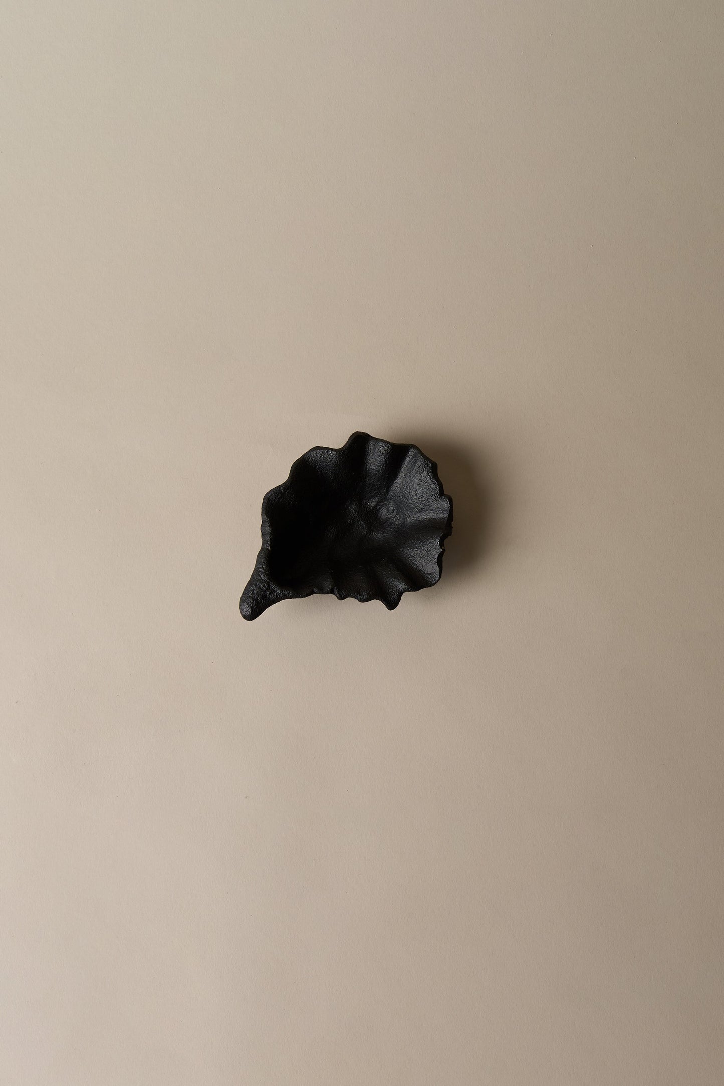 OYSTER SHELL DISH