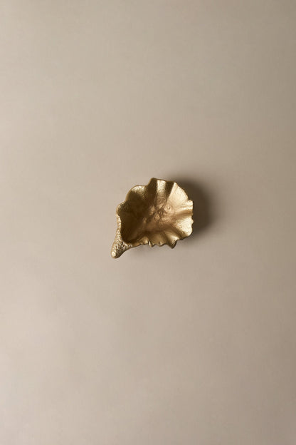 OYSTER SHELL DISH